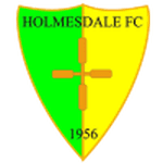 Holmesdale Vereinswappen