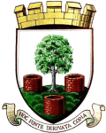 Wells City Vereinswappen