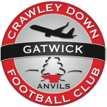 Crawley Down Gatwick Vereinswappen